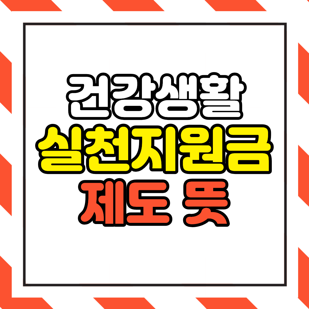 건강생활실천지원금제 뜻