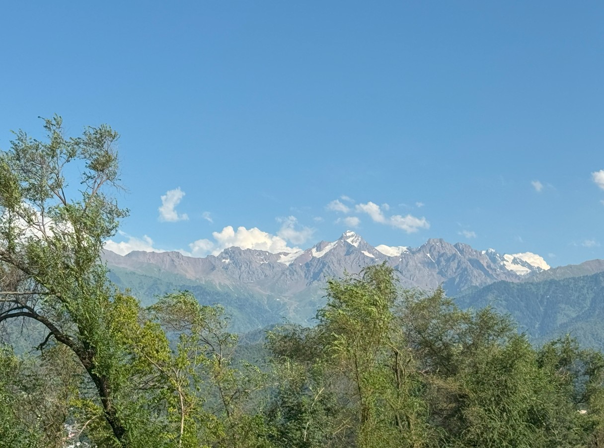 Kok Tobe 놀이공원8