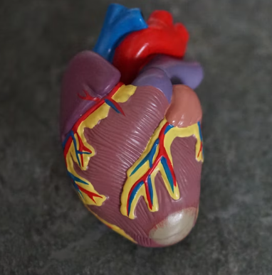 협심증 진단방법 치료법 합병증 예방