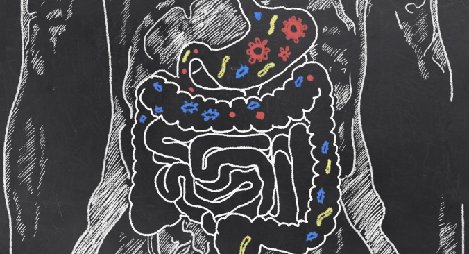 마이크로바이옴과 소화 및 영양 흡수: 건강한 장을 위한 필수 요소