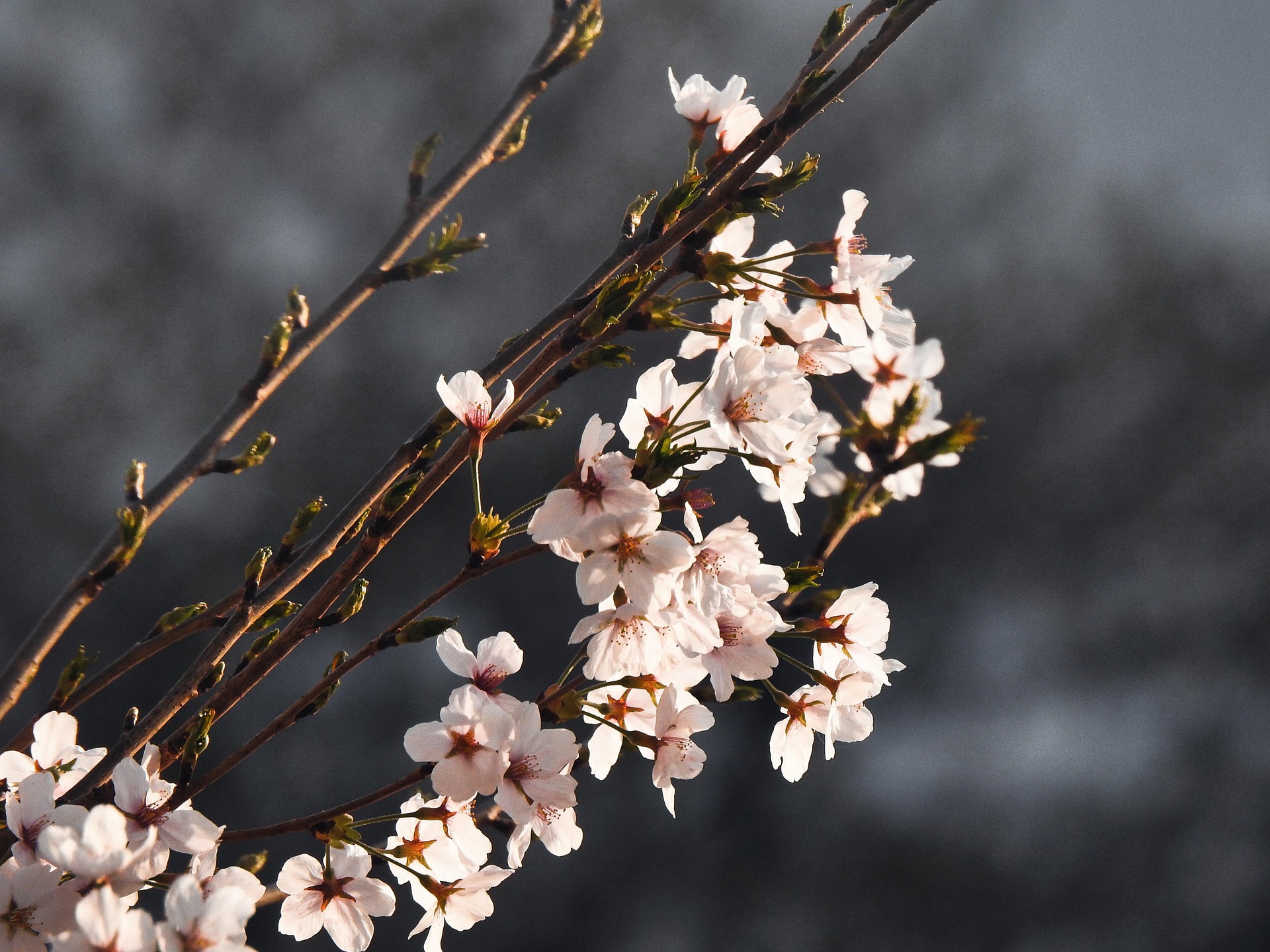 봄 알레르기 예방법
