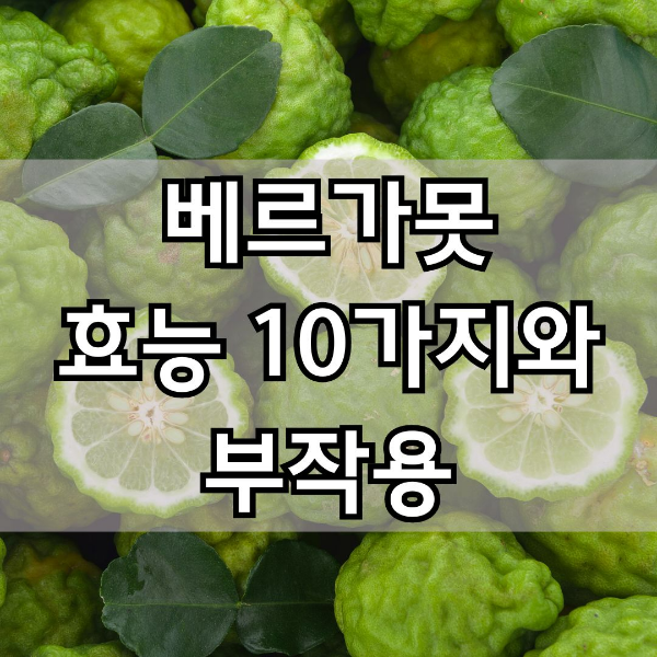 베르가못 효능