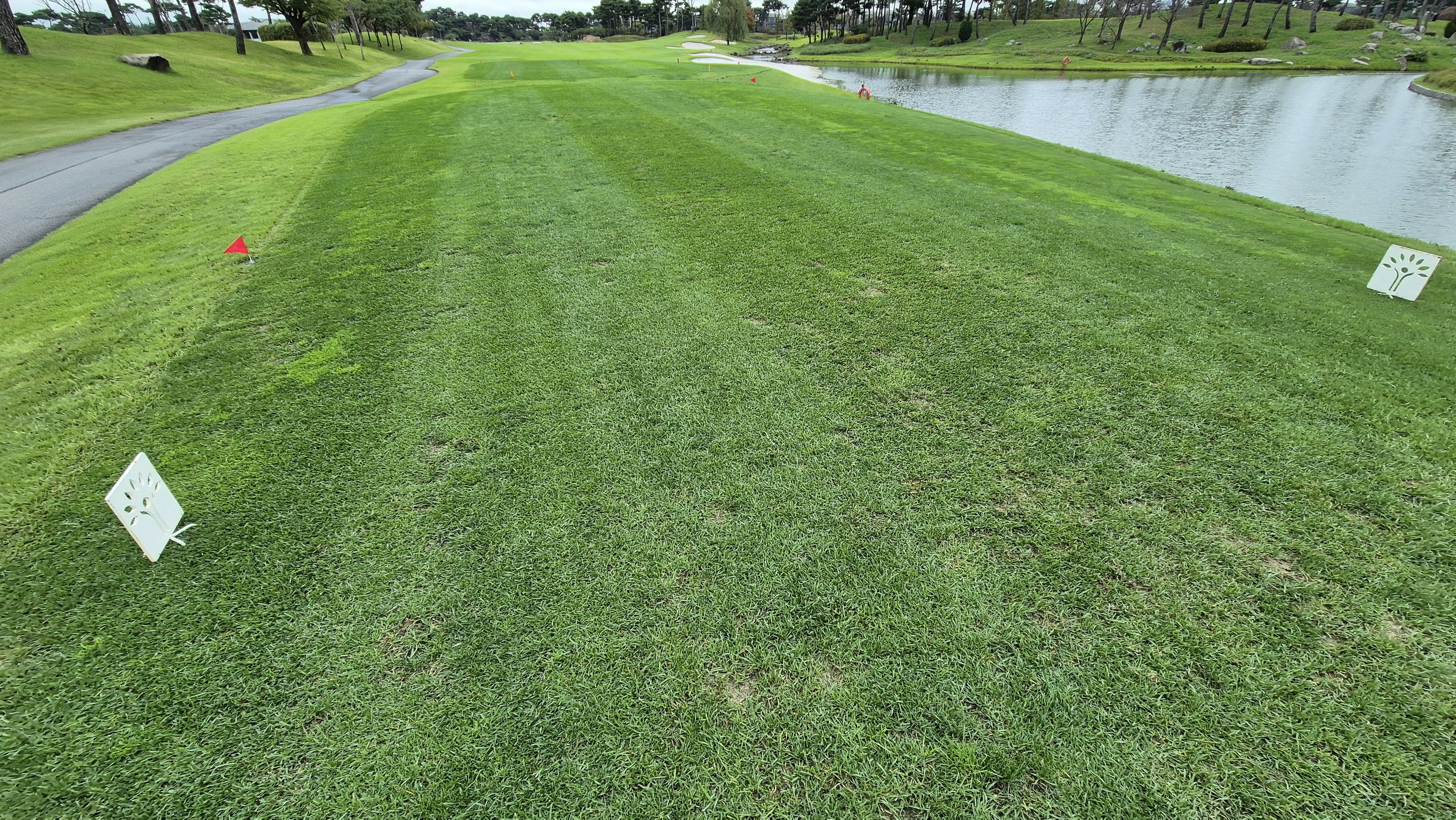 파인스톤cc 티잉구역 상태