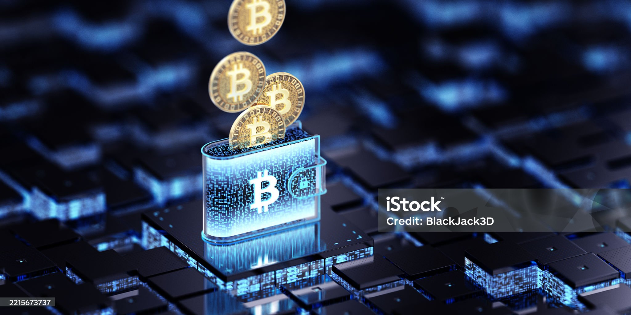 암호화폐 겨울, 개인 투자자 리스크