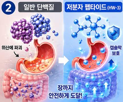 hw-3단백질-효능-종류-구매-가격-추천-제품