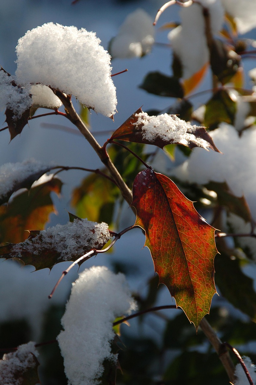 비염에 좋은 영양제