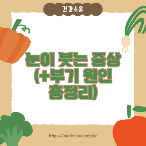 눈이 붓는 증상 (+부기 원인 총정리)