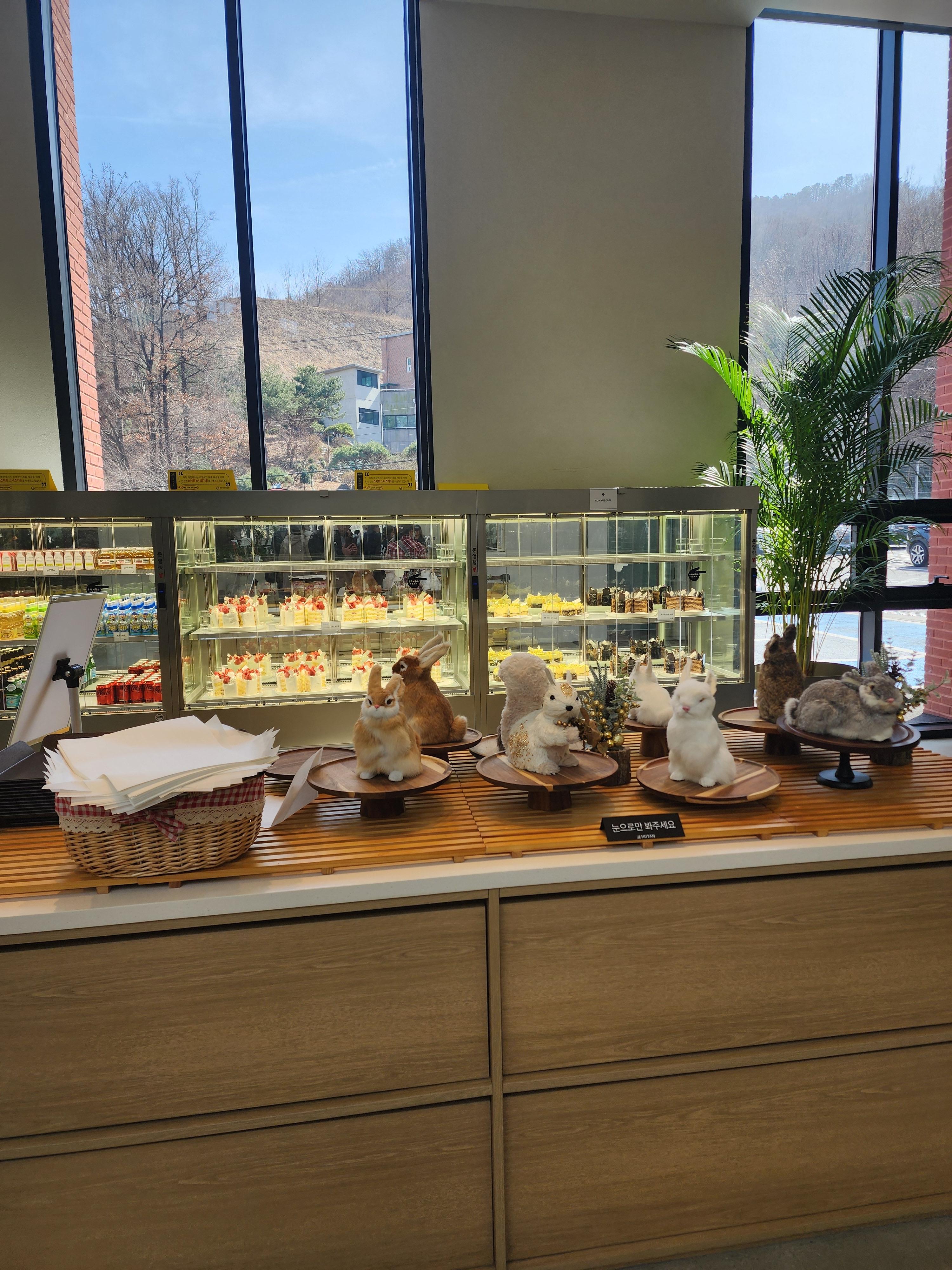 후탄 남양주 초대형 카페 방문 후기