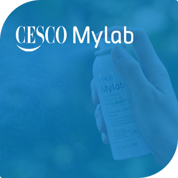 세스코 가정집 가격