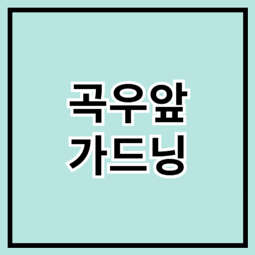 🌿 곡우 앞둔 봄맞이 가드닝 준비하기! 🌿