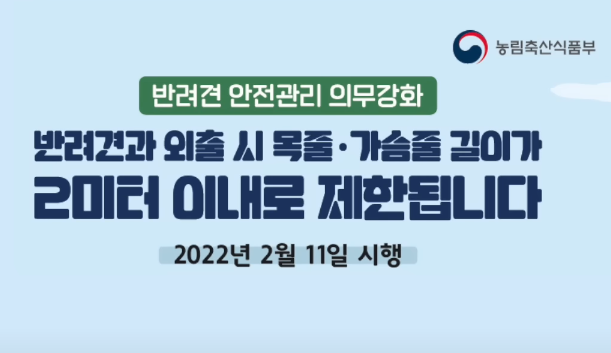 반려견과 외출할때 목줄 길이를 2m