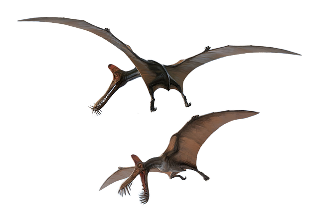 공룡덕후박람회 기본정보 프로그램