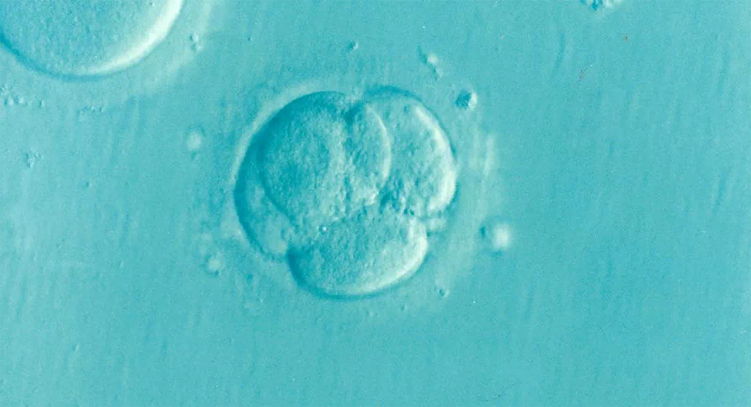 2026 가임력검사지원 신청방법 총정리: 자격, 서류, 절차 완벽 가이드