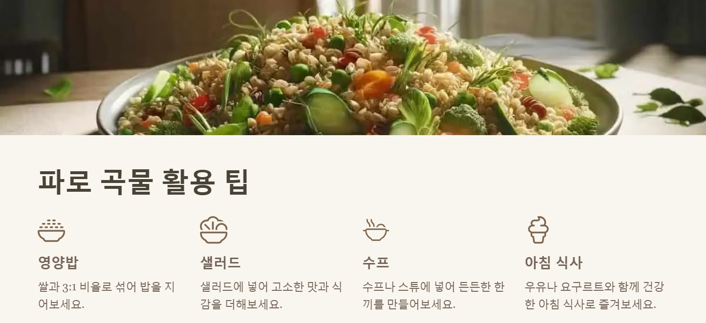 파로 곡물 효능 먹는법 요리