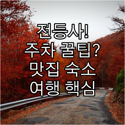 주차장 혼잡 피하는 강화도 전등사 방..