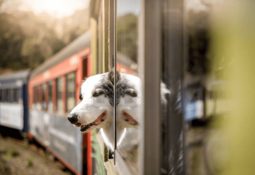 추석기차표예매