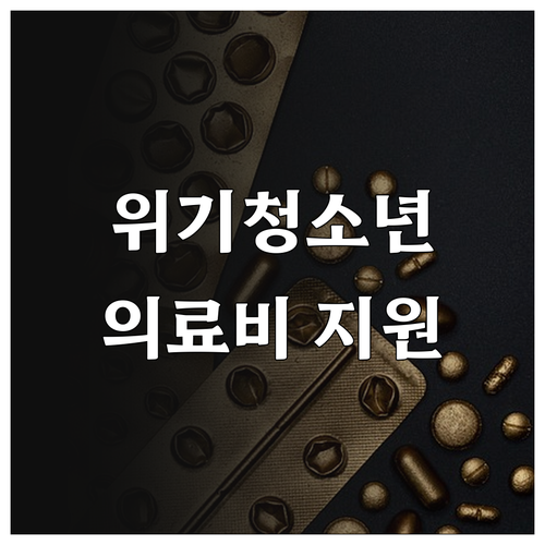 2025년 경기도 위기청소년 의료비 ..