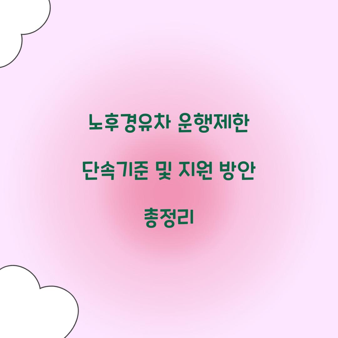 노후경유차 운행제한 단속기준