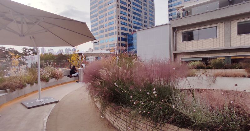 2층 외부공간 여러가지 색상의 식물들로 도심같지 않은 분위기를 만들어낸다