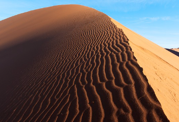 쳇지피티 무료 사용 홈페이지