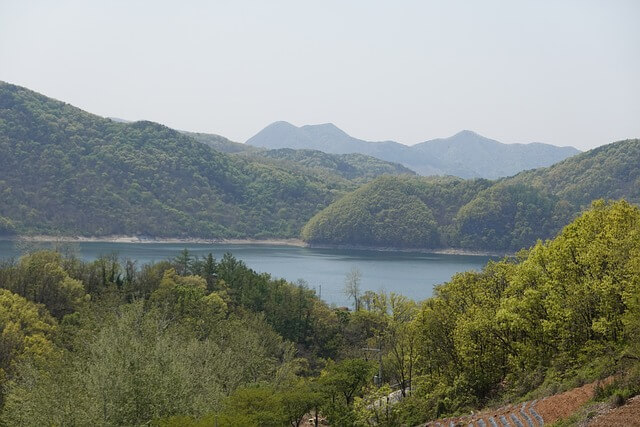 나무의사 양성기관 찾는 방법