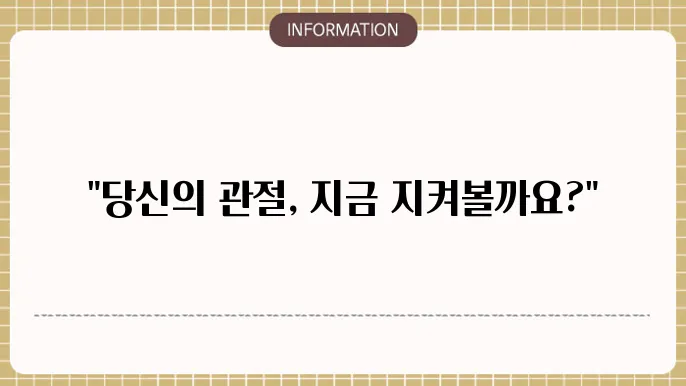 관절 영양제 추천