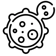 항암 효과 사진