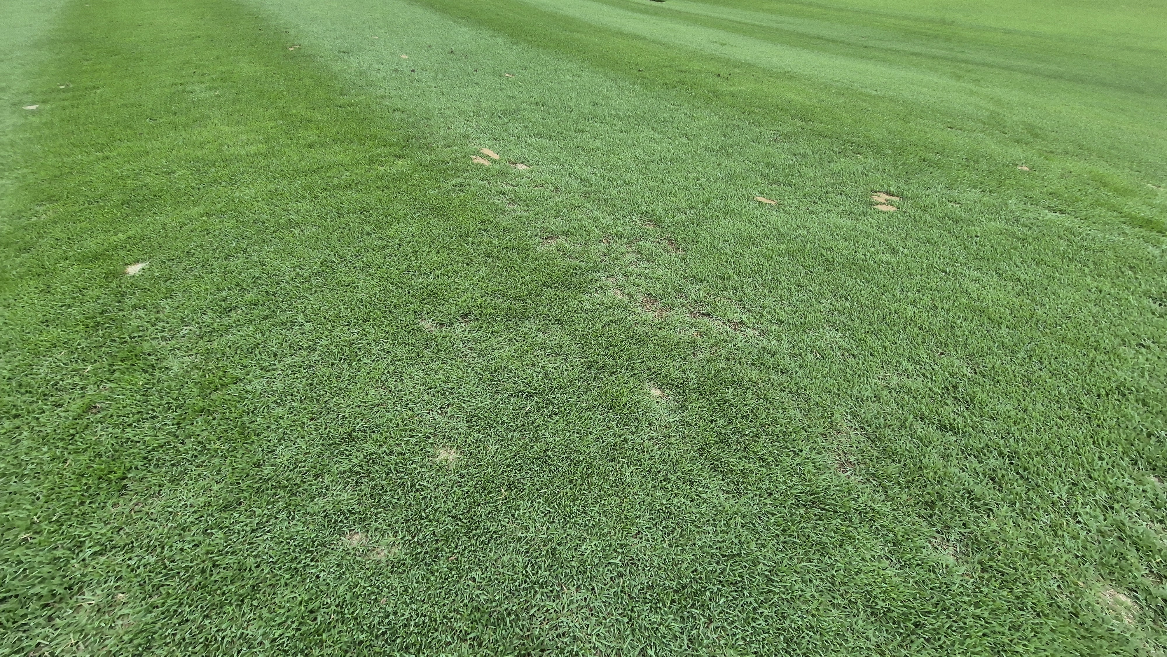 뉴스프링빌cc 라운드 후기