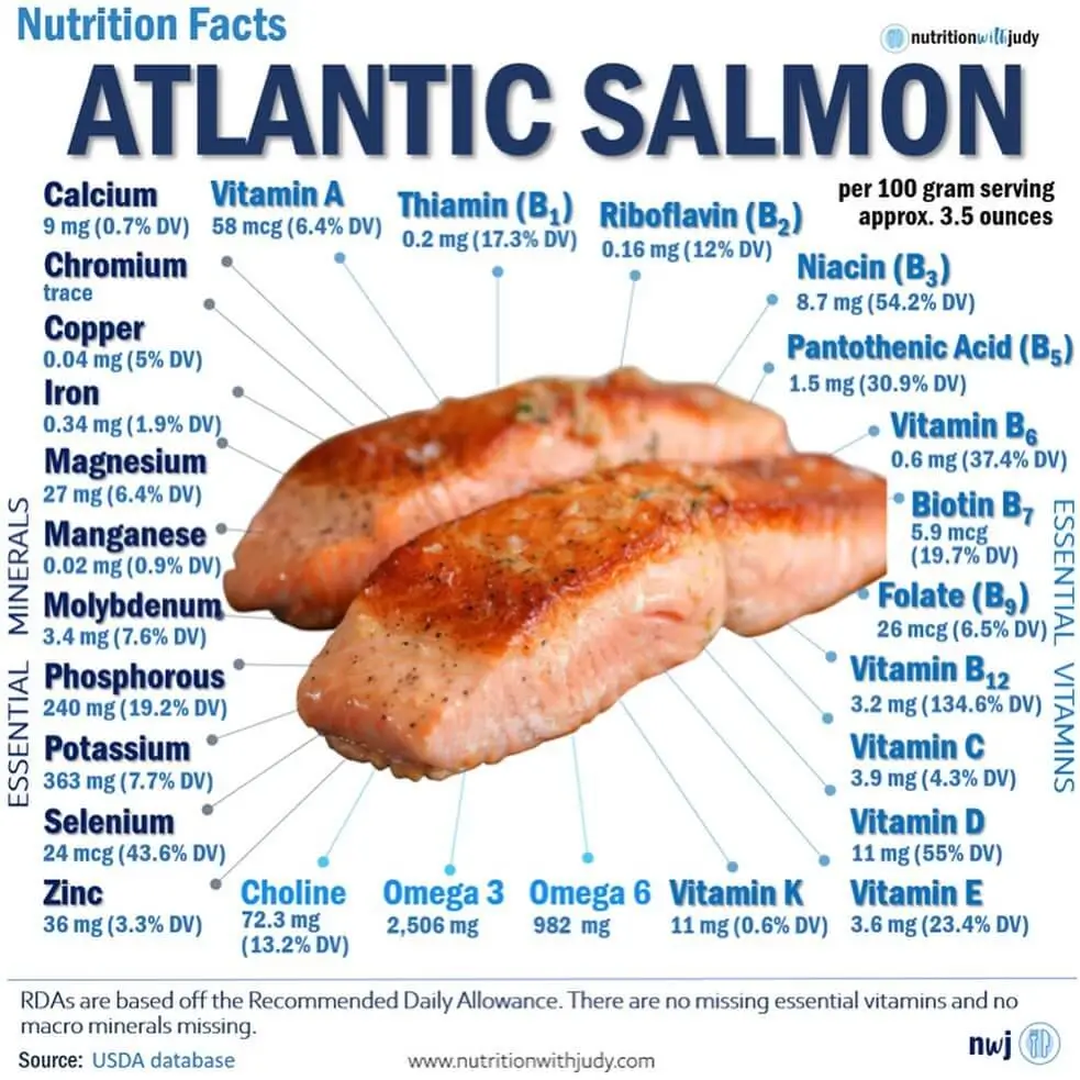 연어 Salmon