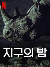 넷플릭스 다큐멘터리 지구의 밤