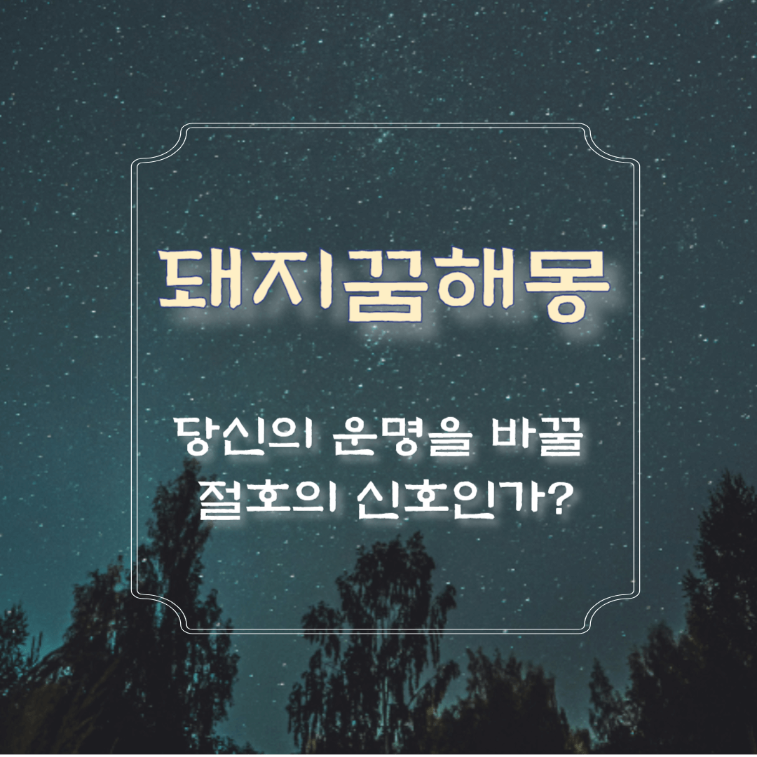 돼지 꿈해몽