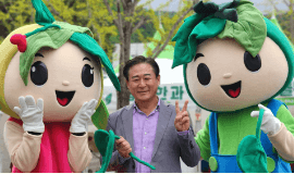 홍천 산나물 축제