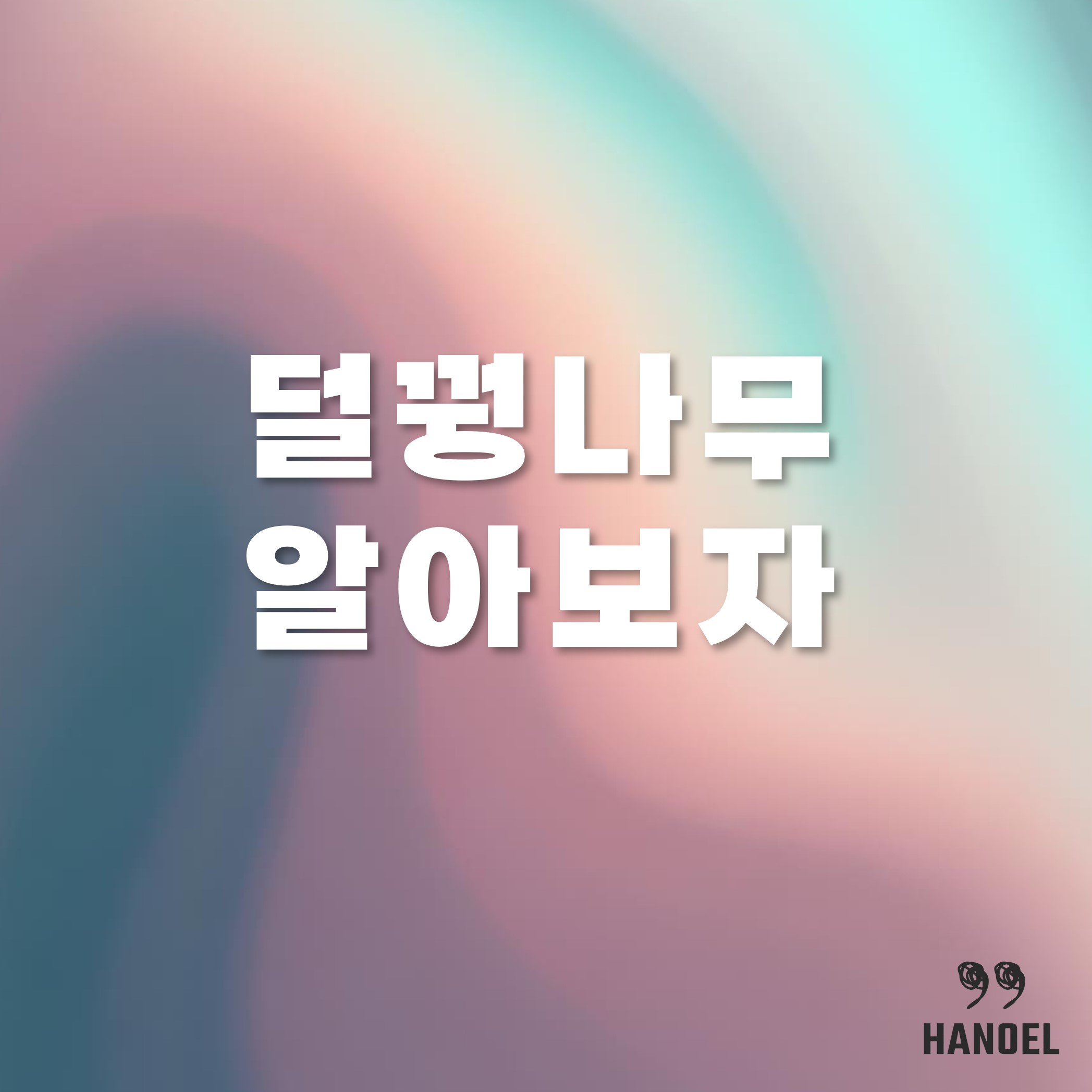 덜꿩나무 알아보자