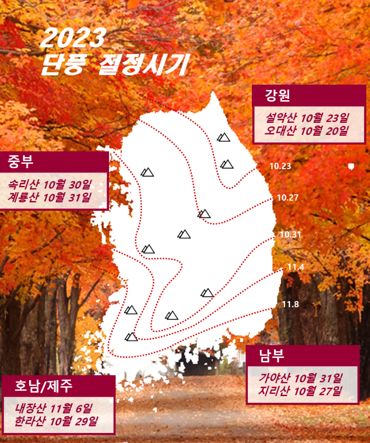 단풍절정시기