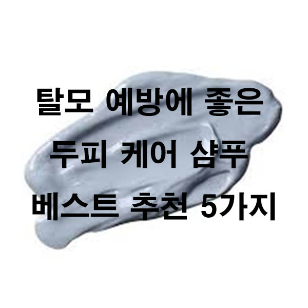 탈모 예방에 좋은 두피 케어 샴푸 베스트 추천 5가지