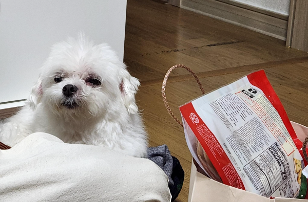 까르푸 누가크래커