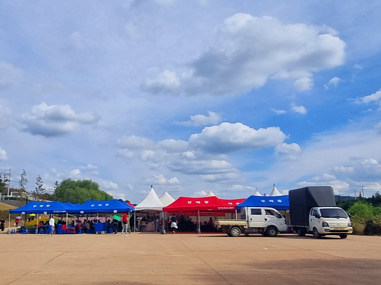 서울 근교 가을꽃 만발한, 경기도 고양시 강매석교공원 창릉천 코스모스축제