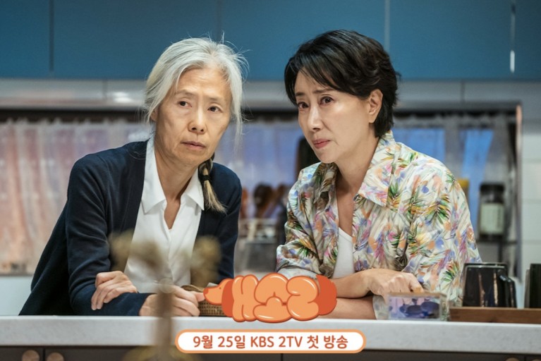 개소리 등장인물 출연진 인물관계도