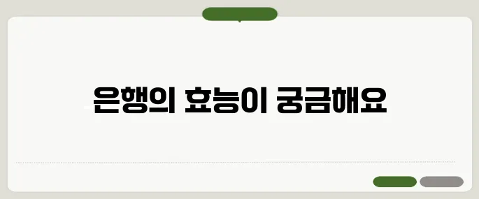 은행 효능 혈액순환 개선과 뇌 건강에 도움될까?