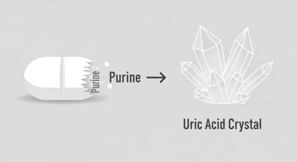 맥주효모 부작용