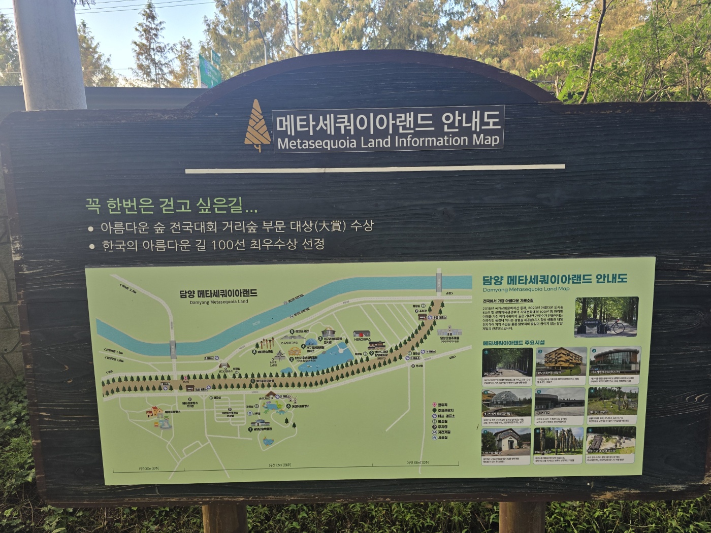 메타세쿼이아랜드-안내도