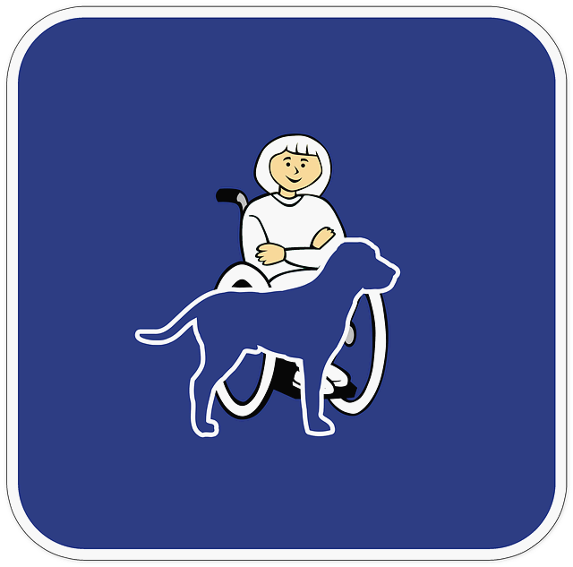 개별화 교육 프로그램(IEP)