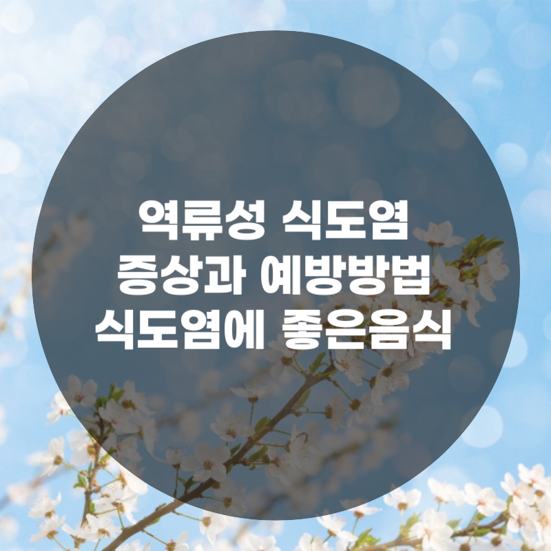 역류성식도염 증상과 예방방법 그리고 식도염에 좋은 음식글자 이미지