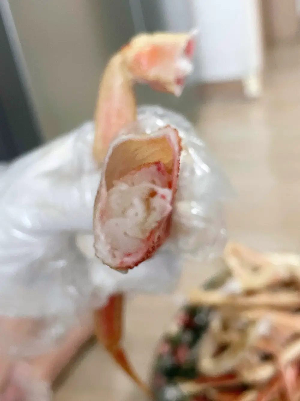 마가단 대게 속이 꽉찬 모습