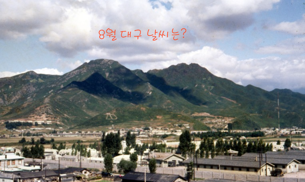 대구