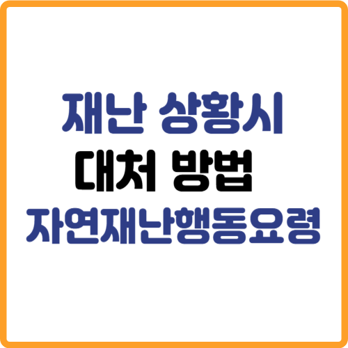 재난상황 응급상황 위기상황 대처방법 국민재난안전포털 관련 사진