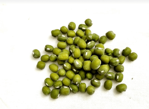 녹두와 녹두로 만든 음식 사진 - 7813