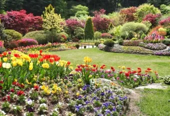 아침고요수목원 입장료 근처 맛집 펜션 추천_15