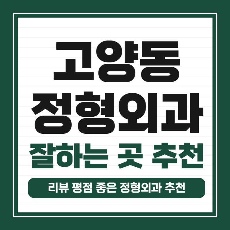 고양시 고양동 정형외과 유명하고 잘하는 곳 추천 TOP 5