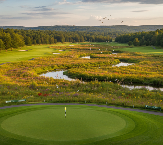 친환경 골프장 조성 사례: 지속 가능한 미래를 향한 발걸음 관련이미지